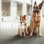 Jack Bourke - @doggystyleconz - Instagram