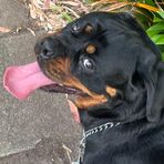 Jack Bourke - Facebook