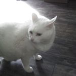 Jackie Bourque - @jackie.bourque.733 - Instagram