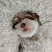 Jack Bowerman - Facebook