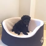 Jack Boyce - @jack_boyce_444 - Instagram
