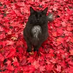 Jack - @jack.brackstone - Instagram