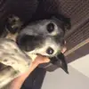 jackbrack - @.jack10_ - TikTok