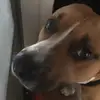 Yodaisdog gaming - @jackbracken40 - TikTok