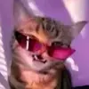 Jackbrahhh - @jackbrahhh6 - TikTok