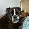 thereal.jackbrah - @thereal.jackbrah - TikTok