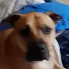 brantley_thefisher122 - @brantleyjacks - TikTok
