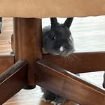Jack Brinson - @jack34567742 - Instagram