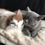 @jack_jones_britten - Instagram