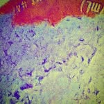 jp - @jacksonp_broccoli - Instagram