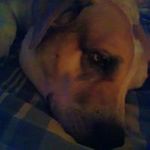 Jack Brock - @brock_jack - Instagram