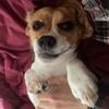jackbrockhurst991 - @jackbrockhurst991 - TikTok