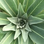 Jack Brodie - @jackbrodielandscape - Instagram