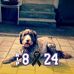Jack Brooker - Facebook