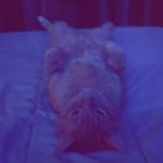 Jack Brooker - @jackbrooker24 - Instagram