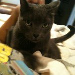 Jack Brophy - @jack_loves_you1 - Instagram