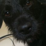 Jack Brophy - @jackb349 - Instagram