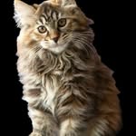 Jack Brophy - @someoneweird65 - Instagram