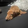 Jack Browne - @jack.browne1 - TikTok