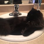 jack brownlee - @i_like_sinks - Instagram