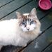 Jack Buckner - Facebook