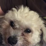 Jack Buckner - @jack_buckner - Instagram