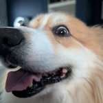 Jack Buckner - @jblondon8 - Instagram