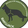 BAKÚ JACK BULLS - @bakujack - TikTok