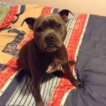 Jack Stahl - @jack_bulls_warriors - Instagram