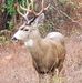 Jack Burkhart - Facebook