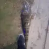 Jack Burley - @jack.burley8 - TikTok
