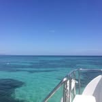 Jack Bushell - @_jack_bushell_ - Instagram