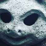 Jack Bushell - @_jack.bushell - Instagram