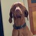 Jack Butterfield - Facebook