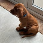 Jack Buzzard - @jack.scooters12 - Instagram