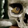 RedBonesz - @percyjacksbuzzard - TikTok