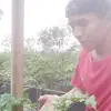 Jack_Redchili (🌶️🔥🌱) - @jackcabe_fresh - TikTok