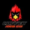 Caffey Junior High - @jackiecaffeyjr.high - TikTok