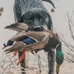 Jack Cagle - @jack_cagle13 - Instagram