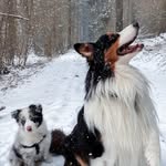 Jack&Calvin - @_calvin_jack_ - Instagram