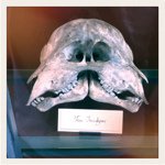 @jackcambrian - Instagram