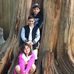 Jack Campanella - Facebook