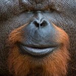 Jack Canada - @jj_canada_ - Instagram