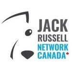 Jack Russell Network Canada - @jackrussellnetworkcanada - Instagram