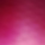 jack.canada.bob - @jack.canada.bob - Instagram