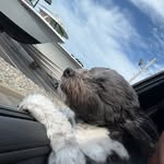 Jack Cardinal - @jack_zen0n - Instagram