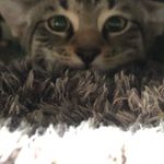 Jack Carmichael - @carmichael4261 - Instagram