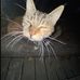 Jack Andy Castañeda Jimenez - Facebook
