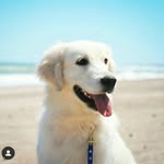Jack Castañeda - @jack.cast1 - Instagram