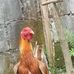 Jack Cates VI - Facebook